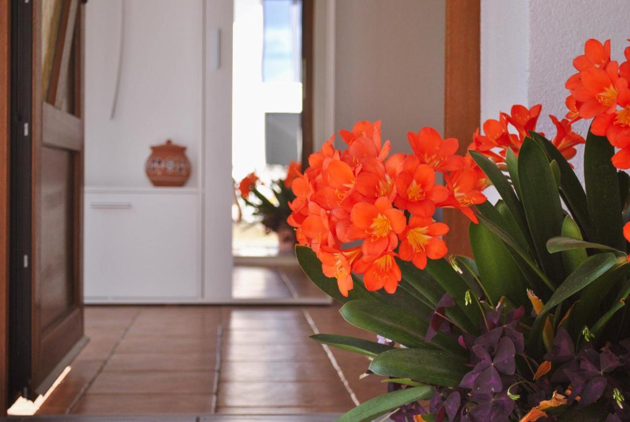 Apartma Ksela Mala Nedelja Εξωτερικό φωτογραφία