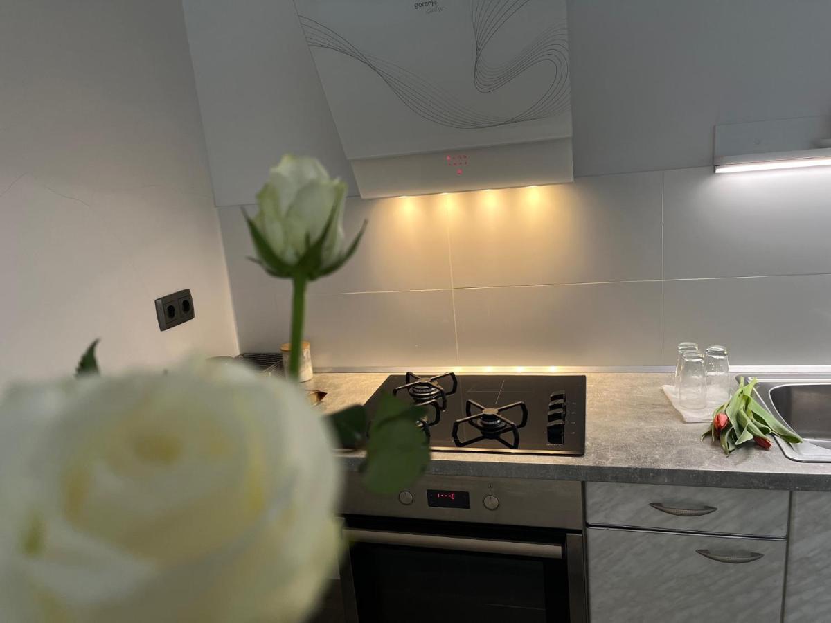 Apartma Ksela Mala Nedelja Εξωτερικό φωτογραφία