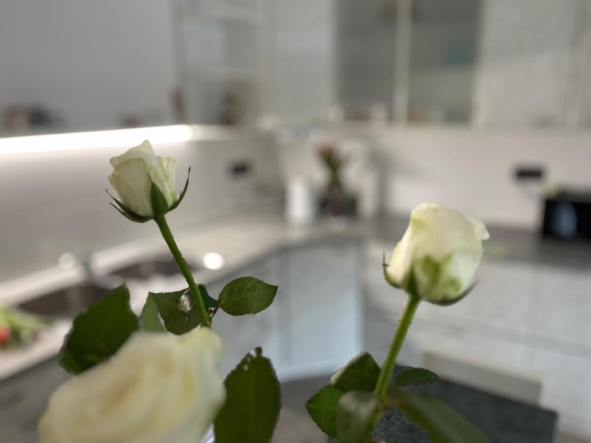 Apartma Ksela Mala Nedelja Εξωτερικό φωτογραφία
